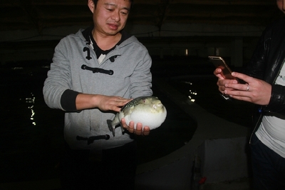 大連啟航“海魚陸養”保險，海水養殖技術研發迎來新機遇