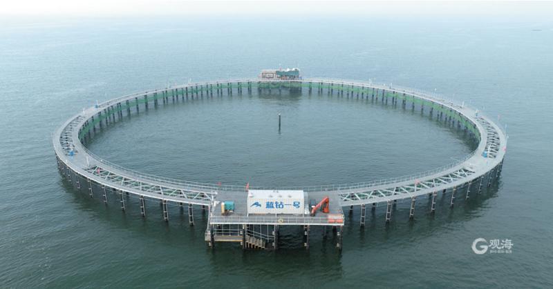 海水魚養殖 從“兩條魚”到“深遠?！钡募夹g躍遷